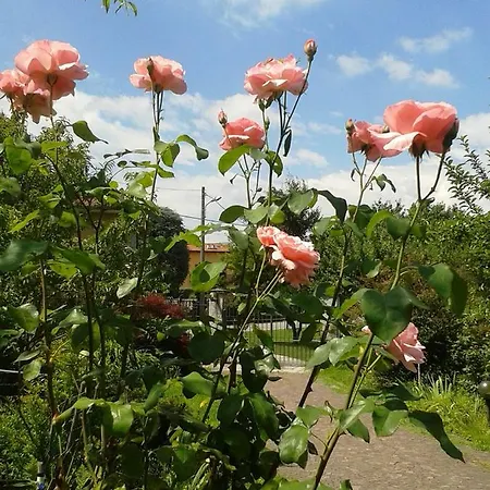 Talonno Il Frutteto Invorio Inferiore