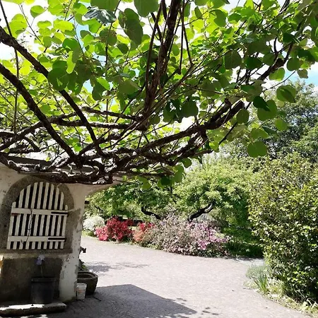 Talonno Il Frutteto Invorio Inferiore